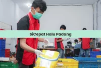 SiCepat Halu Padang Alamat, Jam Operasional & No Telepon